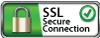 SSL Secure Connection Badge by Arrested Graphics and Web Solutions